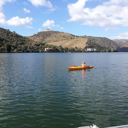 Casa Dos Vinhais - Douro Valley Coleja 外观 照片